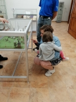 Dzień Dziecka w Domu Muzealnym